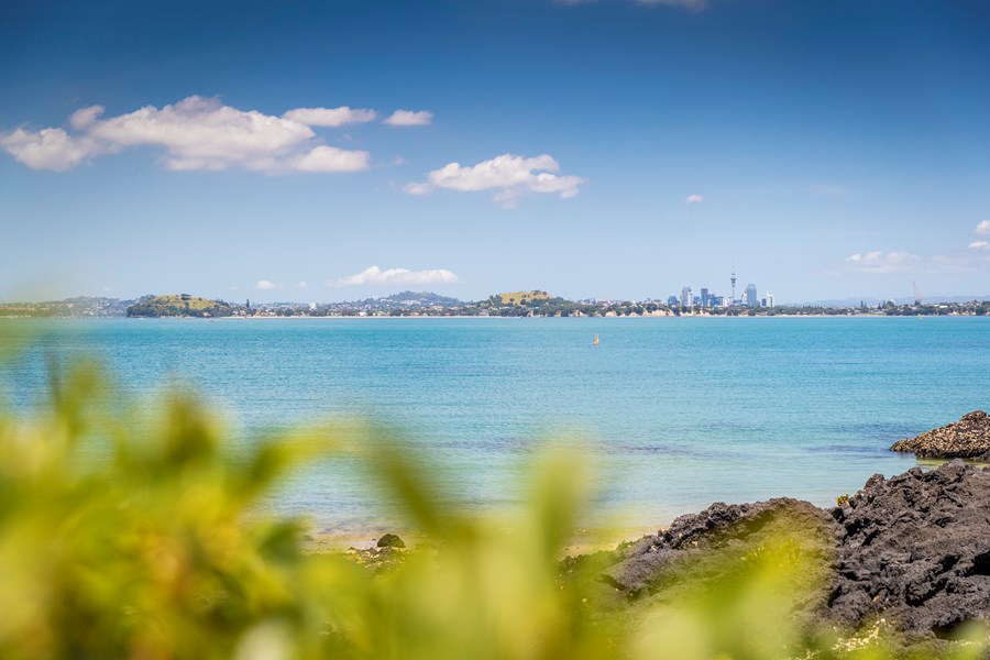 Rangi beaches 3.jpg