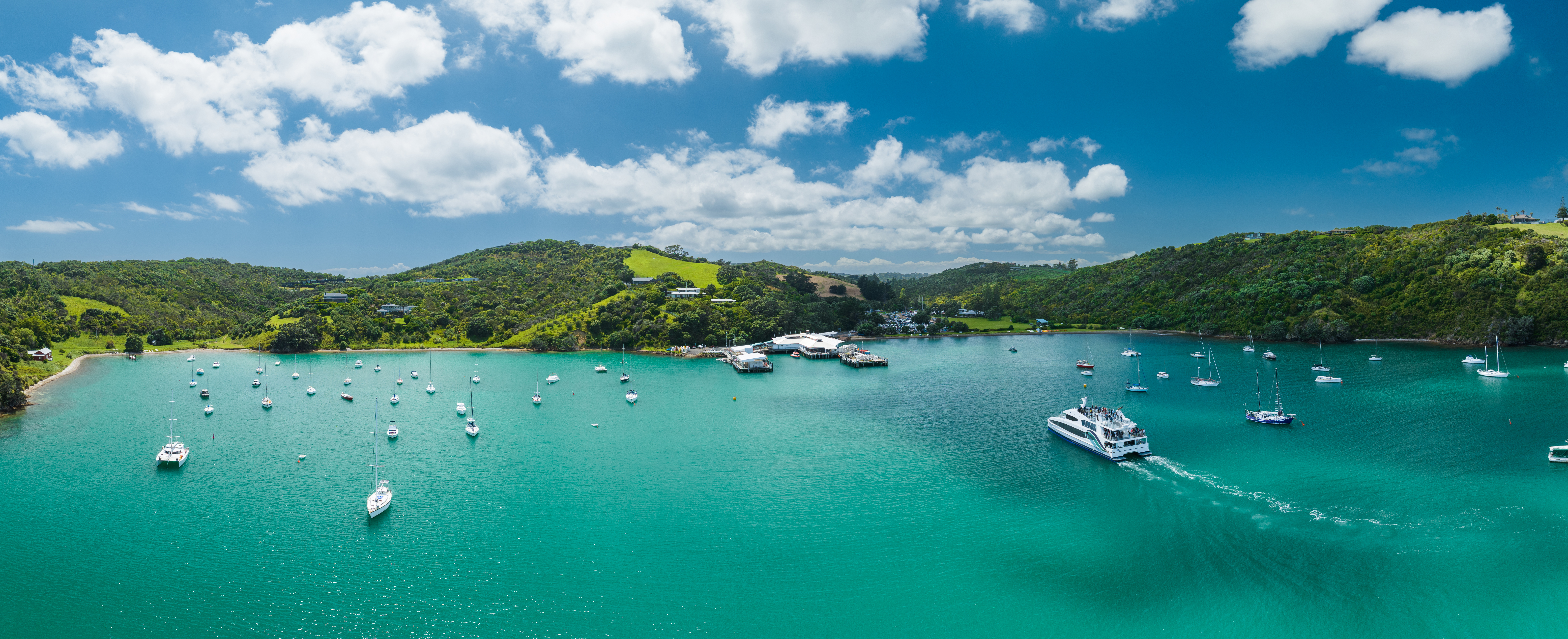 Auckland City to Waiheke Island - Waiheke Walk-up - Adult