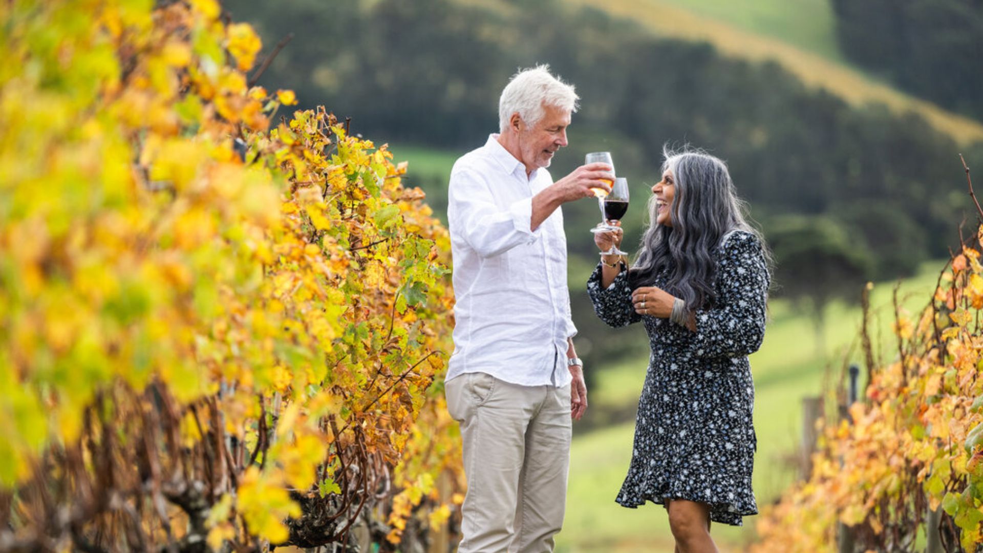 A couple sharing a glass of wine during Valentines day in Waiheke Island, Auckland. On of the top things to do.