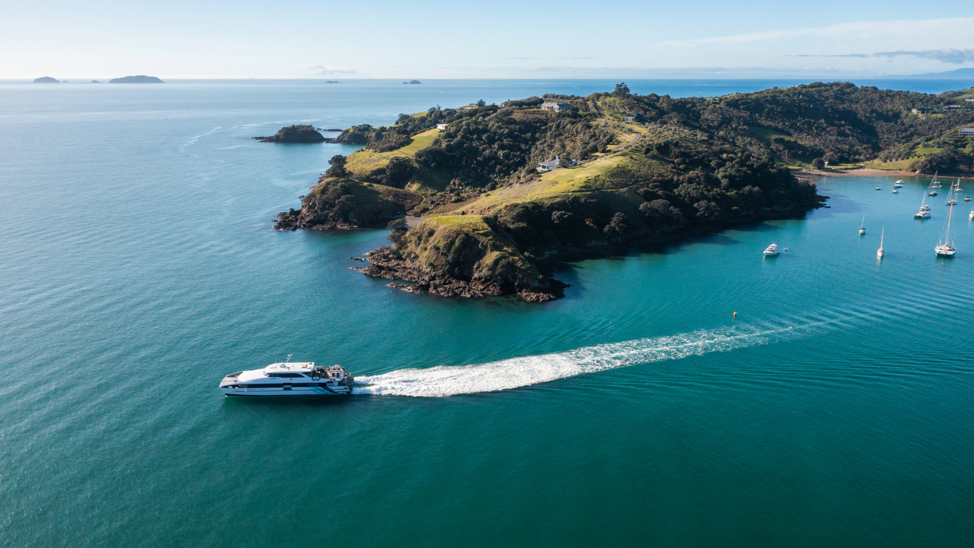 Ferry going to Waiheke Island on Valentines Day
