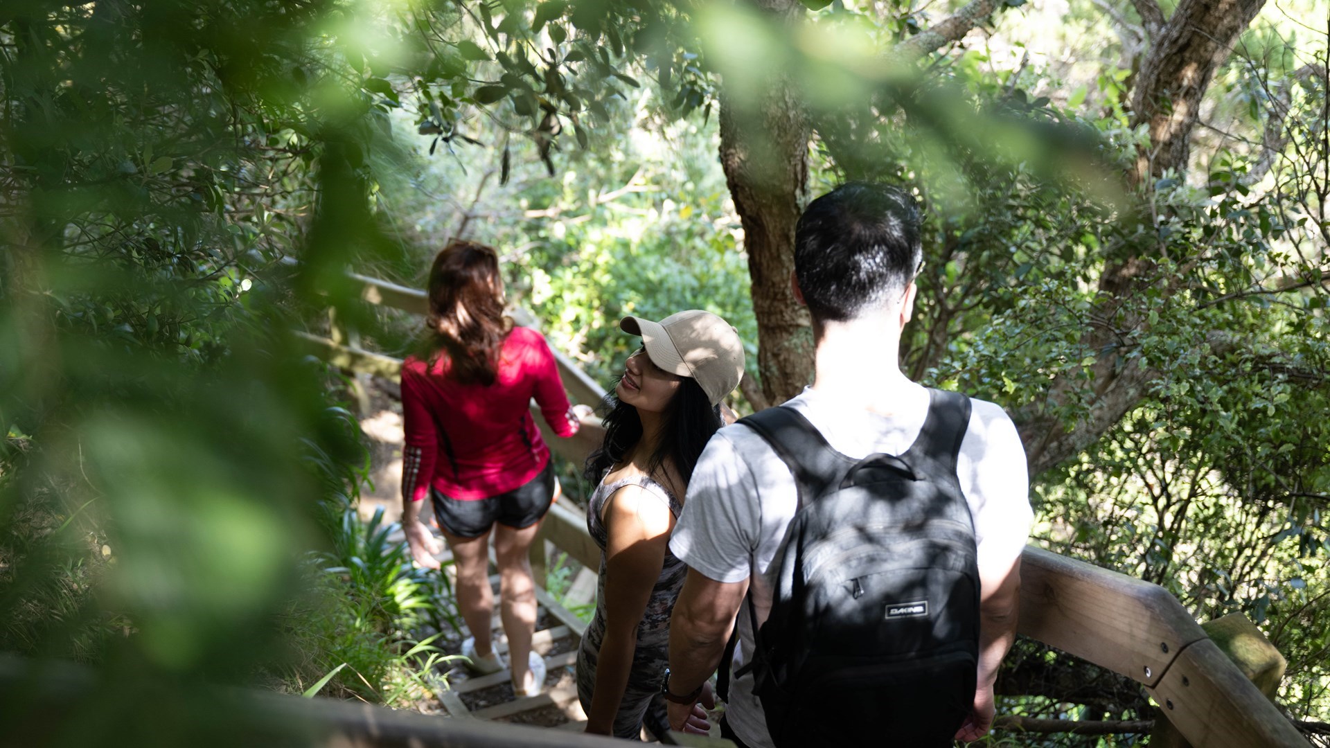 Oneroa nature walking track