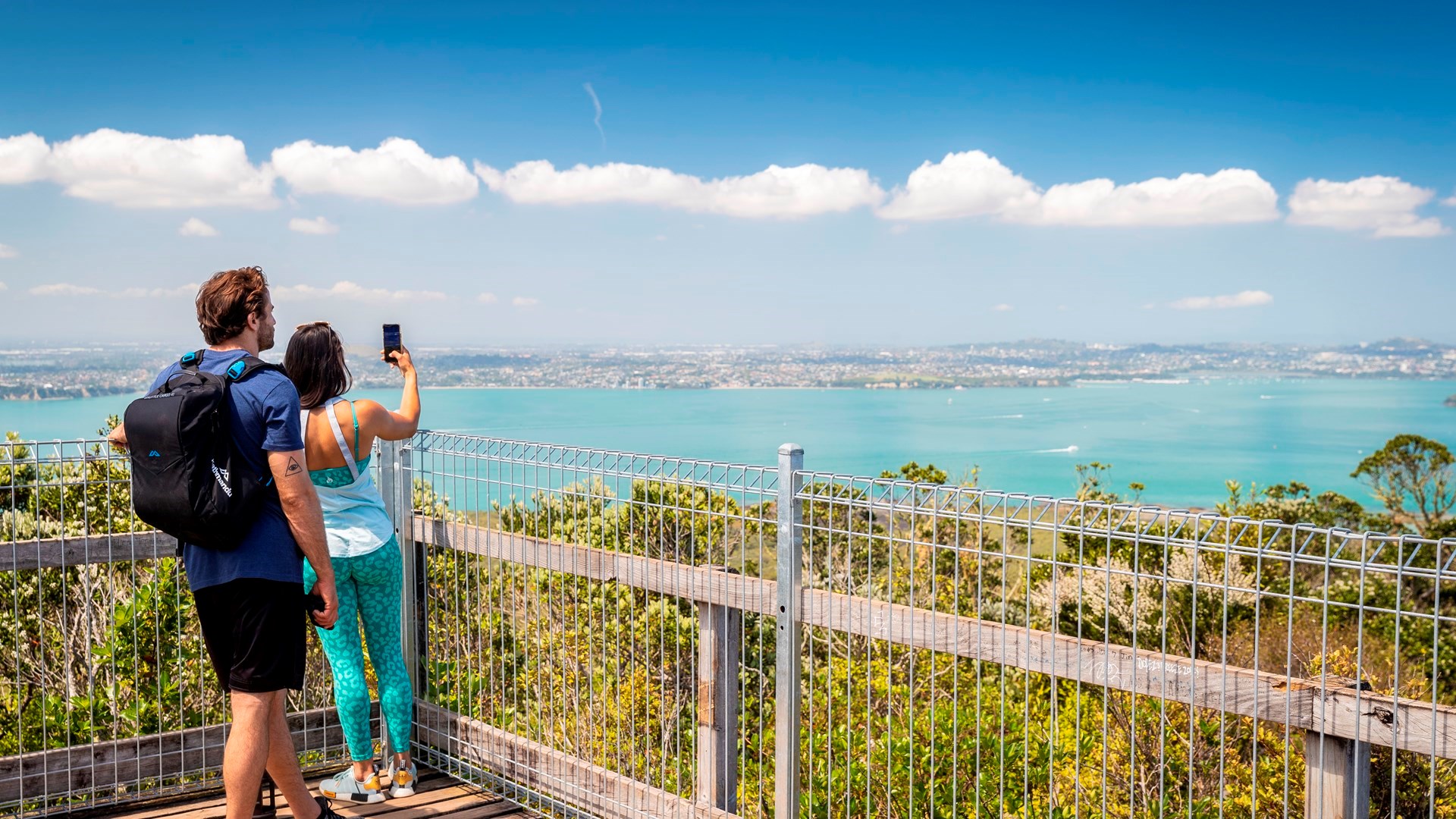 Rangitoto Island summit walking track