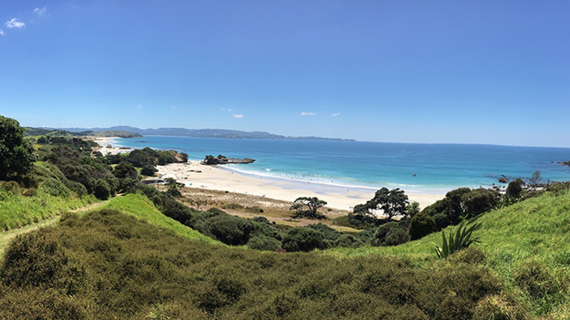 Tawharanui walking track