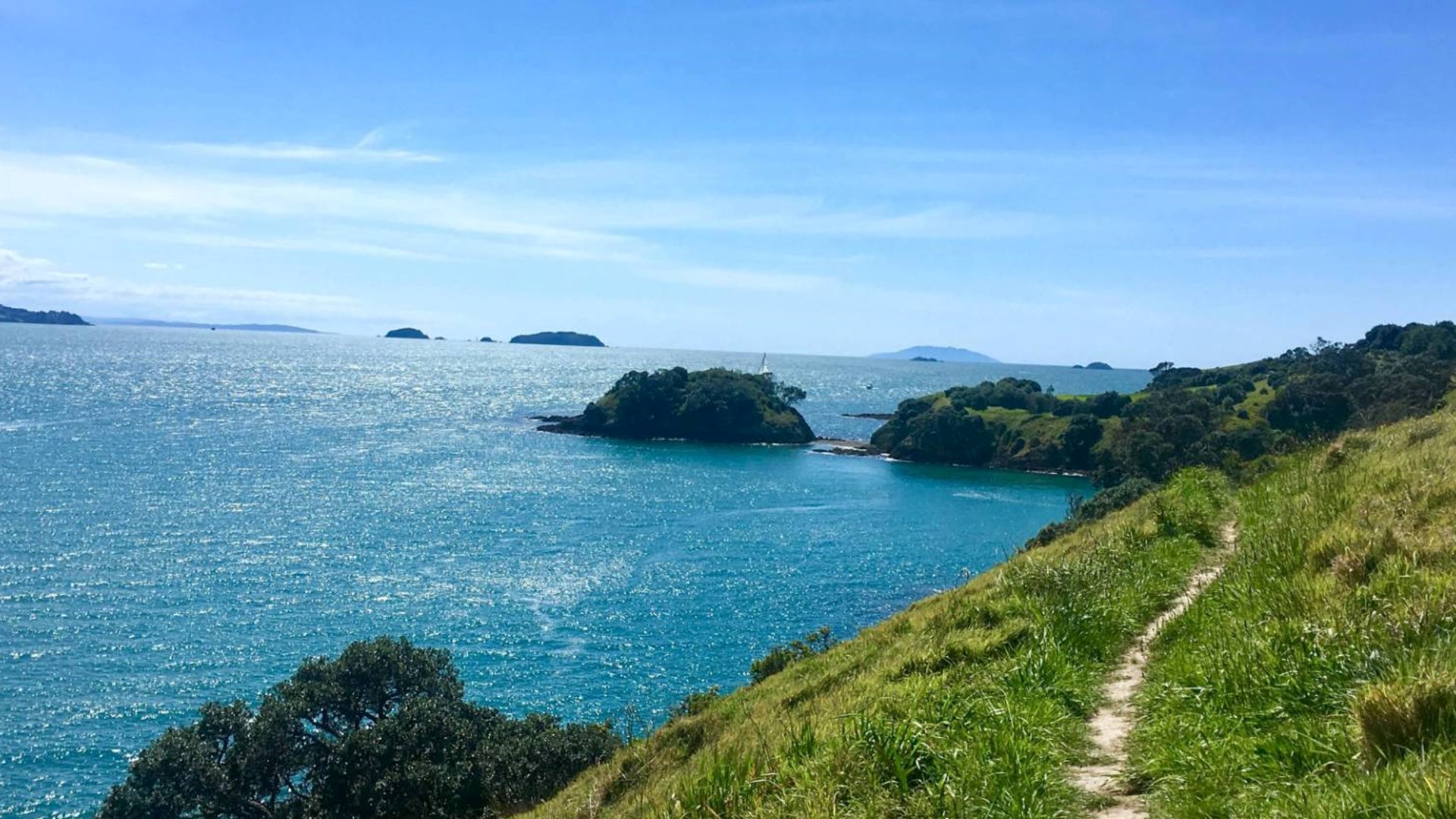 Waiheke Island walking tracks