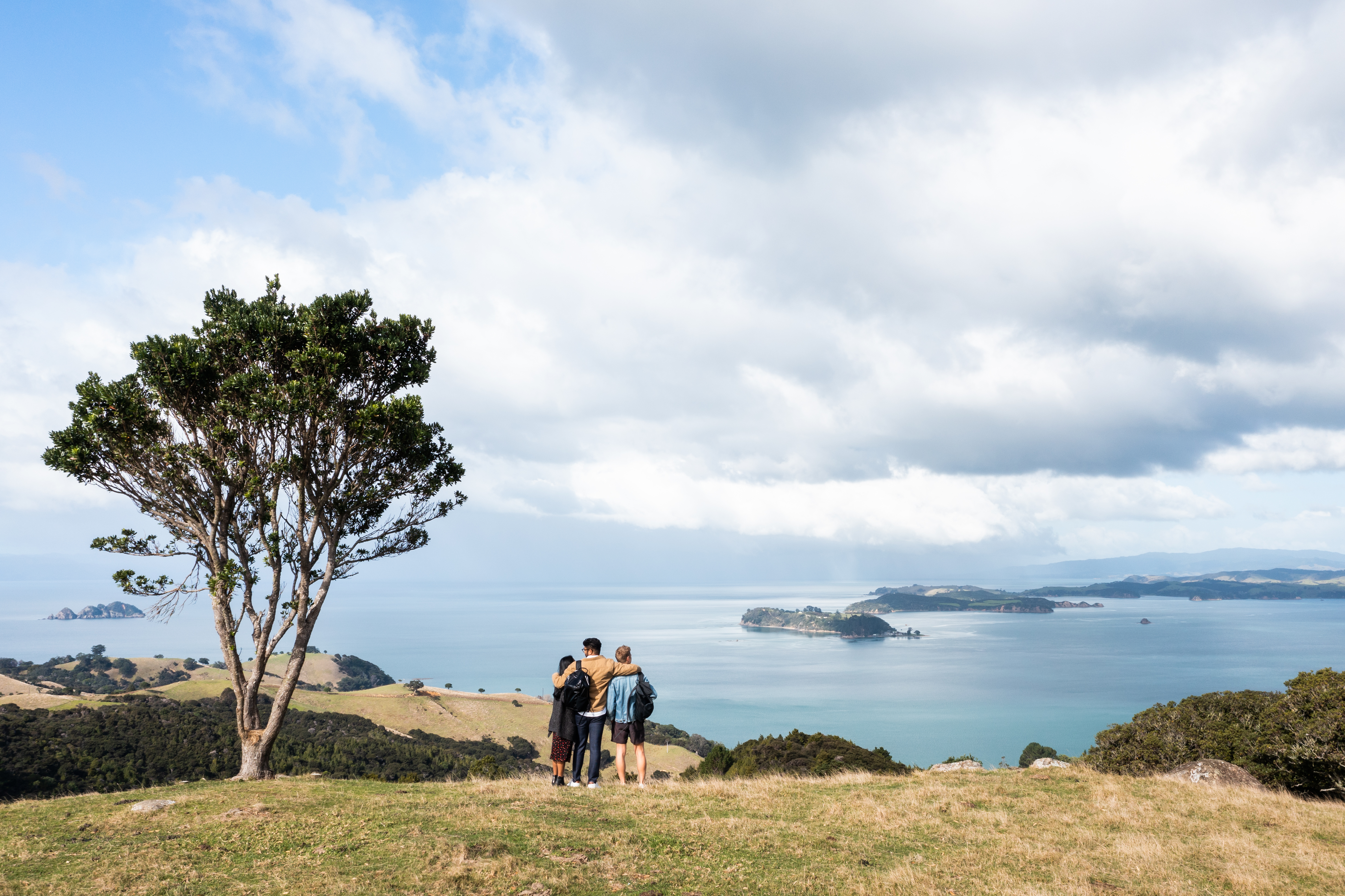 Te Ara Hura Trail 2.jpg