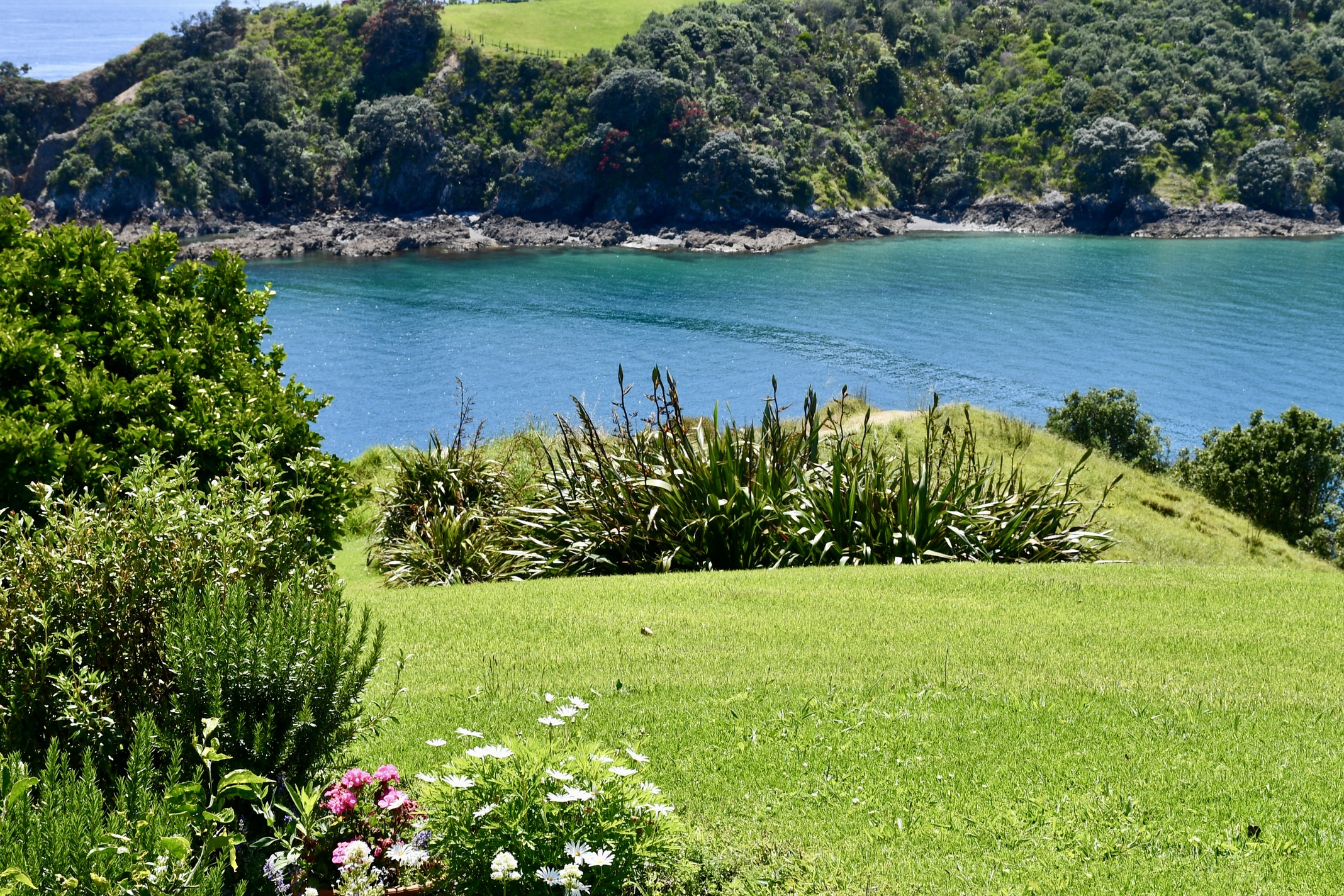 Garden1.jpg